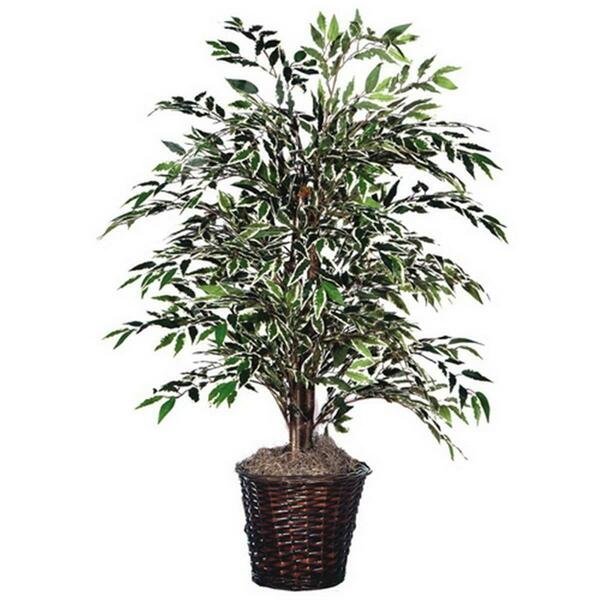 4 ft. Variegated Smilax Bush, Vickerman, Mfr#: TBU1340